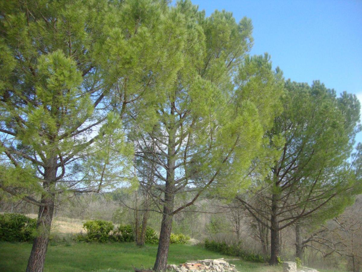 La Croix Du Sud - Ocres En Provence Apt Exterior foto